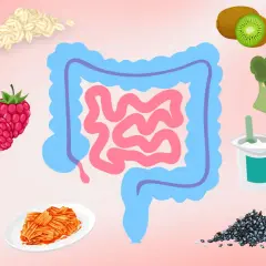 Abführende Lebensmittel wie Kefir, Beeren, Bananen, Kiwi, Lachs, Joghurt und fermentierte Lebensmittel fördern eine gesunde Verdauung.