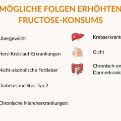 Mögliche Folgen von erhöhtem Fructose-Konsum: Übergewicht, Herz-Kreislauf-Erkrankungen, nicht-alkoholische Fettleber, Diabetes Typ 2, Nierenerkrankungen, Krebs, Gicht, Darmerkrankungen.