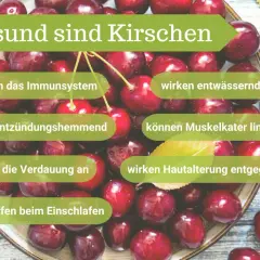 Frische Kirschen sind gesund: Sie stärken das Immunsystem, wirken entwässernd, entzündungshemmend, lindern Muskelkater, regen die Verdauung an, wirken Hautalterung entgegen und helfen beim Einschlafen.