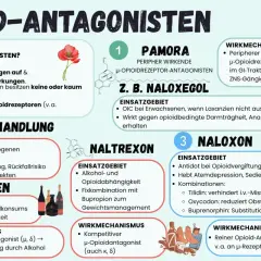 Opioid-Antagonisten wie Buprenorphin blockieren Opioidrezeptoren und helfen bei Suchtbehandlung, z.B. gegen Alkoholabhängigkeit.