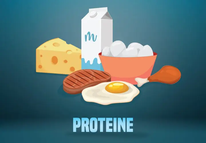 Ein Berg aus Käse, Steak, Spiegelei, Hühnerbein, Milch und Eiern – das ist zu viel Eiweiß!