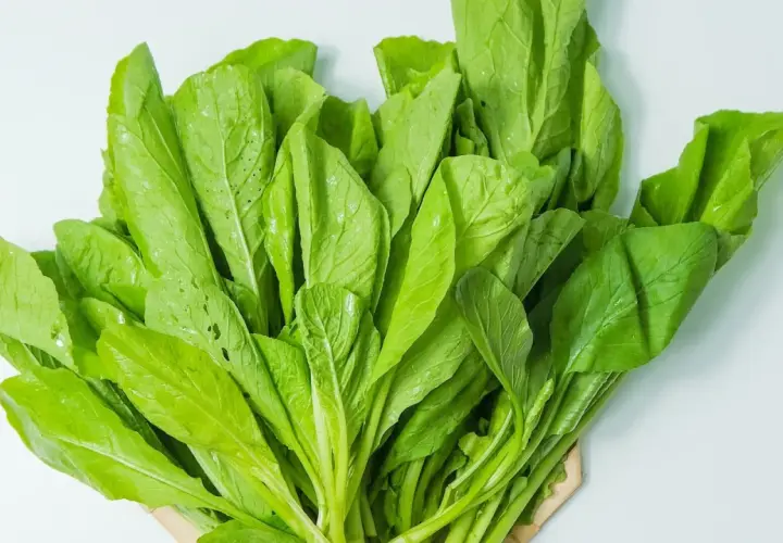 Ein Bündel frischer, grüner Blätter, die an Spinat erinnern. Dieses Blattgemüse ist ein Beweis dafür, wie gesund spinat gesund ist.