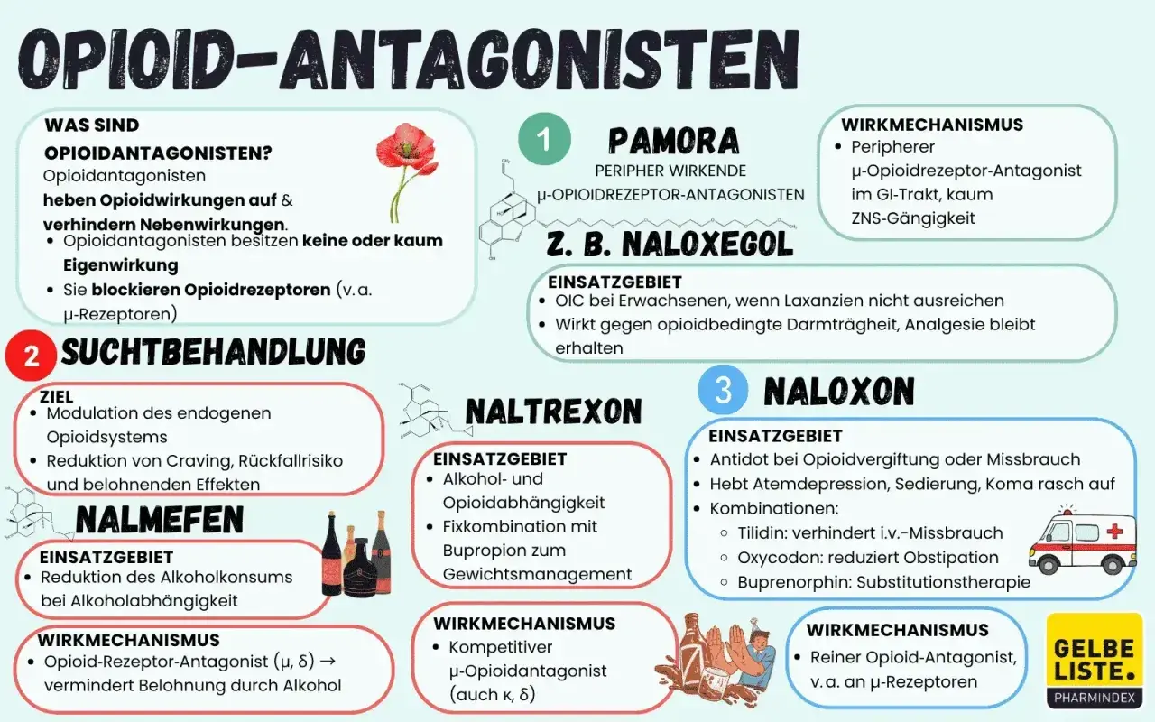 Opioid-Antagonisten wie Buprenorphin blockieren Opioidrezeptoren und helfen bei Suchtbehandlung, z.B. gegen Alkoholabhängigkeit.
